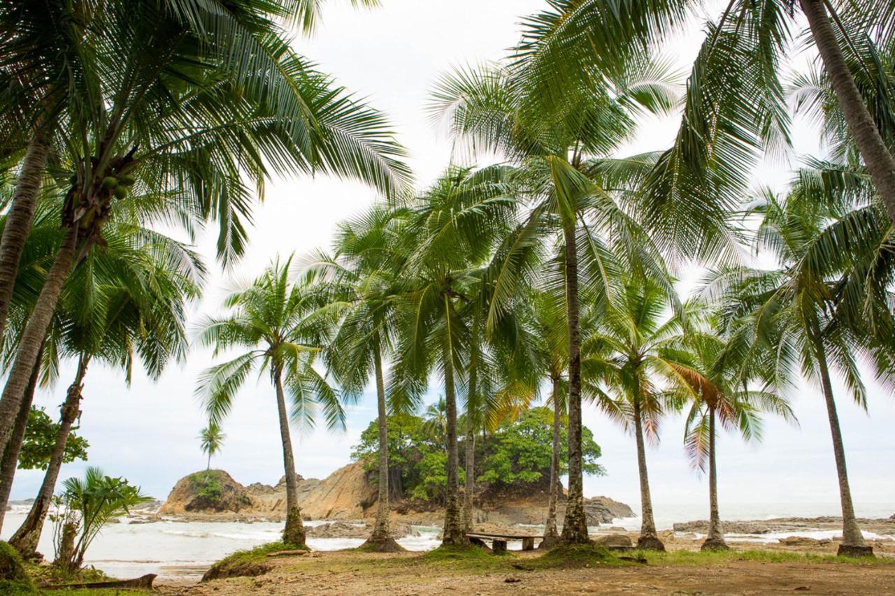 Pacific Edge Eco Lodge Dominical Luaran gambar