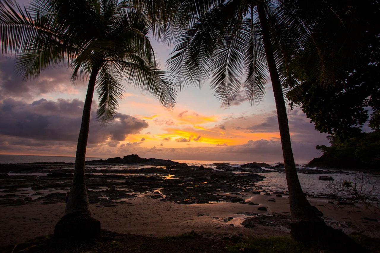 Pacific Edge Eco Lodge Dominical Luaran gambar