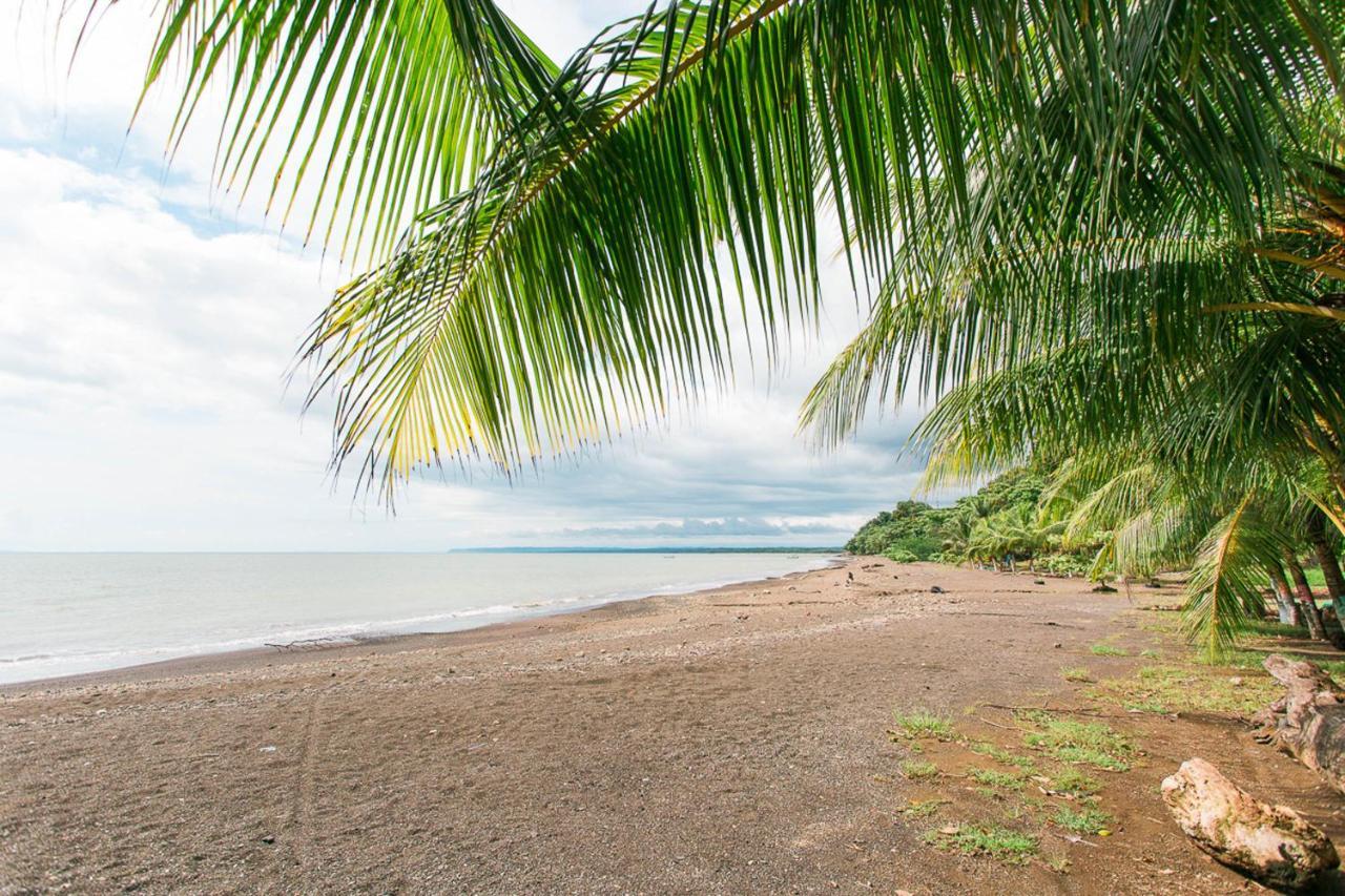Pacific Edge Eco Lodge Dominical Luaran gambar