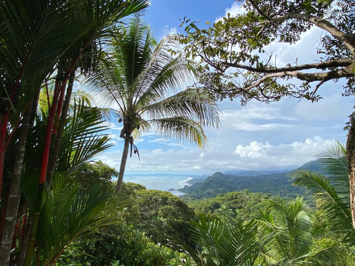 Pacific Edge Eco Lodge Dominical Luaran gambar