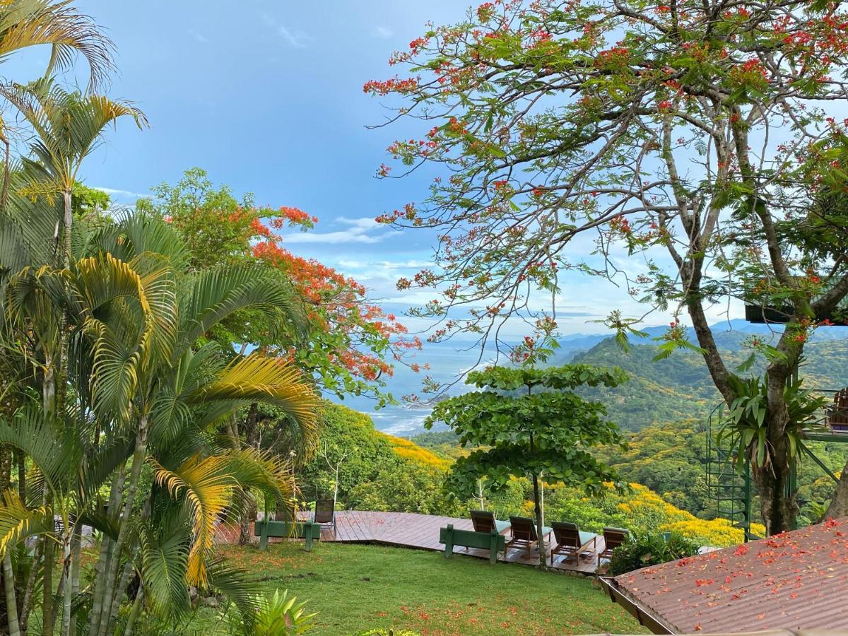 Pacific Edge Eco Lodge Dominical Luaran gambar